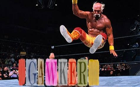 Hulk Hogan V Gawker Outkick Cle