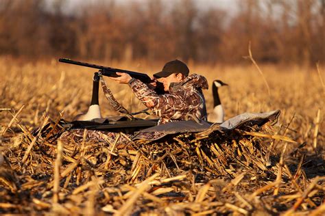 Which Are The Best Layout Blinds For Waterfowl Hunting In