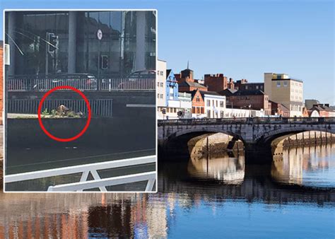 couple caught having sex by river lee in cork city centre