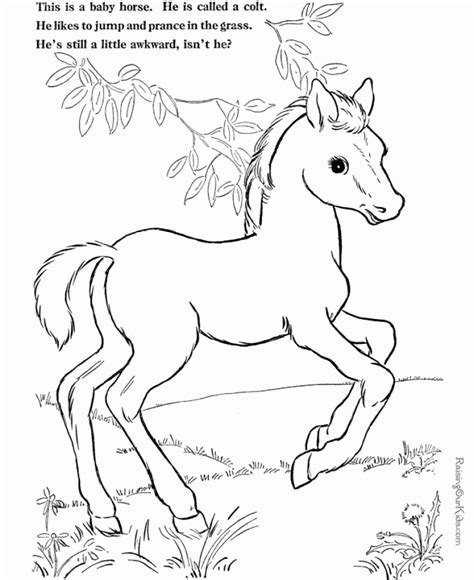 printable farm animal coloring pages everfreecoloringcom