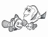 Nemo Dory Marlin Colorare Disegni Ricerca Coloradisegni Happily Felicemente Insieme Immagini sketch template