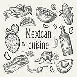 Outlined Doodle Alimento Tradizionale Messicano Disegnato Messico Scarabocchio Mano Enchiladas Handdrawn Descritto sketch template