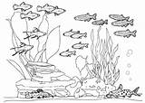 Aquarium Fish Tank Coloring Pages Sketch Drawing Color Printable Kids Print Getcolorings Paintingvalley sketch template