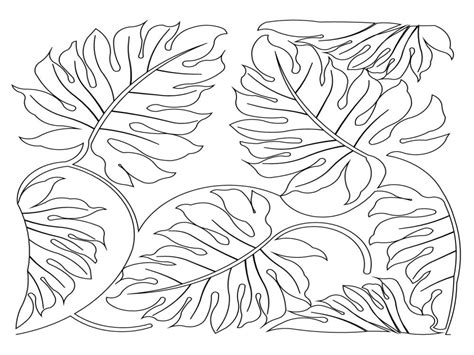 jungle leaves drawing  getdrawings