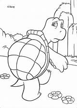 Coloring Rottweiler Designlooter Turtle Verne Hedge Disney Pages Book Over sketch template