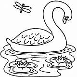 Designlooter Dragonfly Swans sketch template