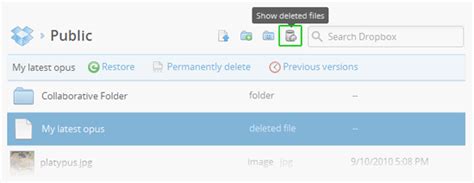 recover  deleted file  older version   file  dropbox