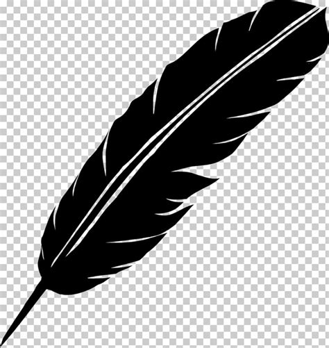 high quality feather clipart black transparent png images