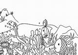 Barrier Reef Great Drawing Coral Coloring Paintingvalley Pages Drawings sketch template