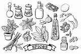Spices Creativemarket sketch template