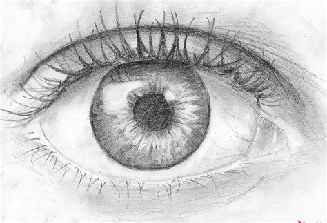 draw eyes step  step  pencil