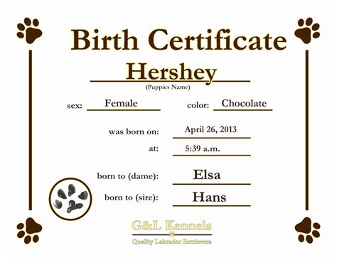 pin  marrona  animal ish stuff birth certificate template dog