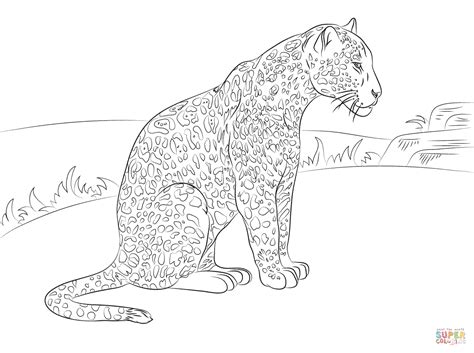 cute jaguar coloring page  printable coloring pages