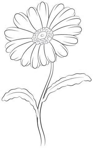 daisy leaf outline yahoo image search results digital stamps