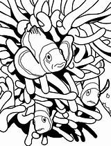 Coloring Fish Clown Pages Clownfish Anemon Hiding Between Colouring Coloringpagesfortoddlers Preschool Fun Popular Most Kids sketch template