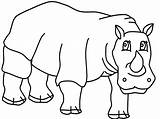 Hewan Nashorn Ausmalbilder Rhinozeros Binatang Rhino Diwarnai Bercula Satu Badak sketch template