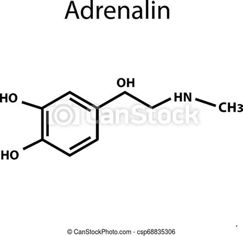 adrenaline is a hormone chemical formula vector illustration on