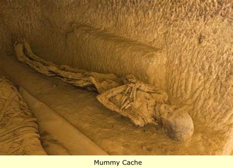 Egyptsearch Forums The Truth About Egyptian Mummies