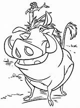 Timon Pumbaa Coloringsun sketch template