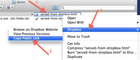 dropbox  mini webserver infoheap