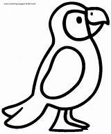 Coloring Pages Parrot Kids Bird sketch template