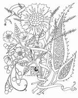 Coloring Flower Cool Pages Getcolorings sketch template