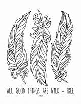 Feather Coloring Pages Colouring Feathers Printable Lostbumblebee Sheets Wild Drawing Print Arrow Ca Color Template Book Grown Visit Getcolorings Mdbn sketch template