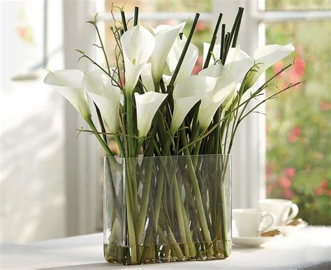 bloom white calla lily arrangement slender stems green bamboo shoots