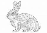 Malvorlage Kaninchen Besten Gezeichneter sketch template