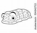 Sea Cucumber Vector Drawing Clipart Coloring Cartoon Domain Public sketch template
