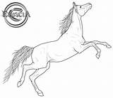 Horse Arabian Lineart Drawing Deviantart Coloring Line Clipart Friesian Mustang Pages Realistic Getdrawings Horses Transparent Face Colouring Cute Size Gif sketch template