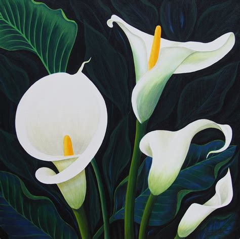 calla lily art lovers australia