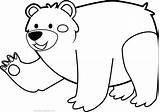 Urso Colorir Desenhos Ursos Orso Colorido Stampare sketch template