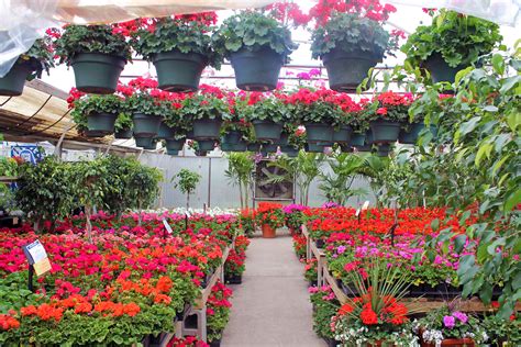 city floral garden center receives top   town honor
