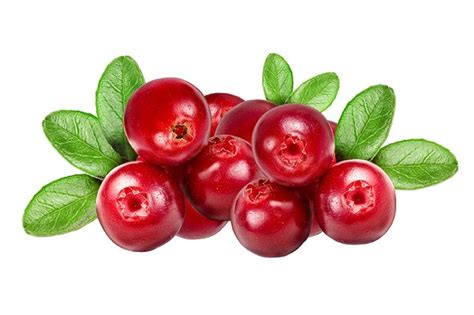 cranberry nutrition facts health benefits nutritional  calories
