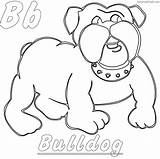 Coloring Bulldog Pages American Getcolorings Printable sketch template