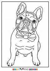 Bulldog French Coloring Pages Bulldogs Franse Sheets Dog Printable Manny Books sketch template