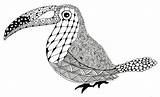Zentangle Animals Toucan Animal Designs Easy Drawings Simple Tangles Coloring Patterns Pattern Print Terry Con Zentangles Pages Drawing Flowers Tangling sketch template