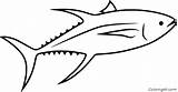 Tuna Bluefin Coloringall Yellowfin sketch template