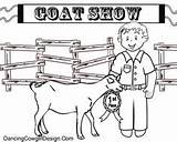 Livestock Show Coloring Pages Ffa Cattle Showing Reptile Raising Cage Pigs Enclosure Teacup Farming Animal sketch template