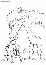 Disegno Cavallo Mammafelice Questi sketch template