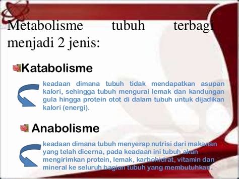 Metabolisme Tubuh Manusia