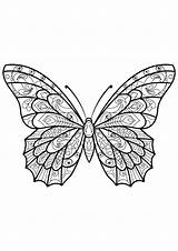 Butterfly Beautiful Coloring Patterns Pages Adult Butterflies Printable Adults Animals Insects sketch template