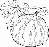 Fruits Vegetable Colorir Desenhos sketch template