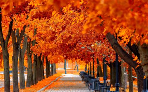 autumn wallpapers backgrounds images pictures design trends