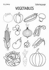 Vegetables Coloring Subject Grade sketch template