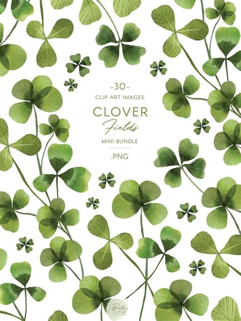 watercolor clover leaves clip art botanical shamrock illustrations