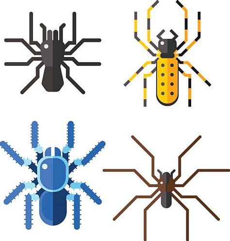Giant Spider Illustrations Royalty Free Vector Graphics And Clip Art