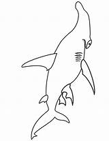 Coloring Shark Hammerhead Pages Sharks Printactivities Print Printables Color Side Appear Printed Navigation Only Kids When Will Do Library Clipart sketch template