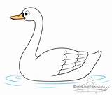 Swan Easylinedrawing sketch template